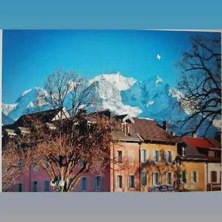Duplex Place De La Grenette * Σαλάνς